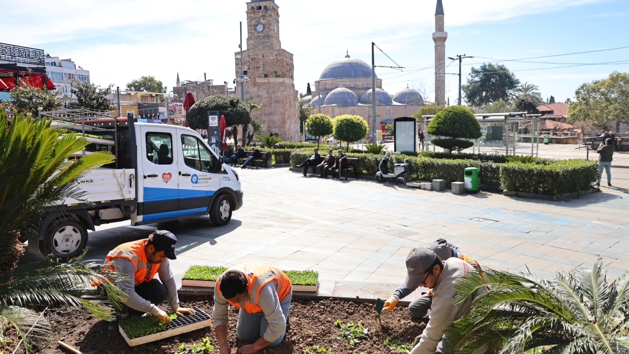 Antalya 4 milyon yazlık çiçekle bahara hazırlanıyor