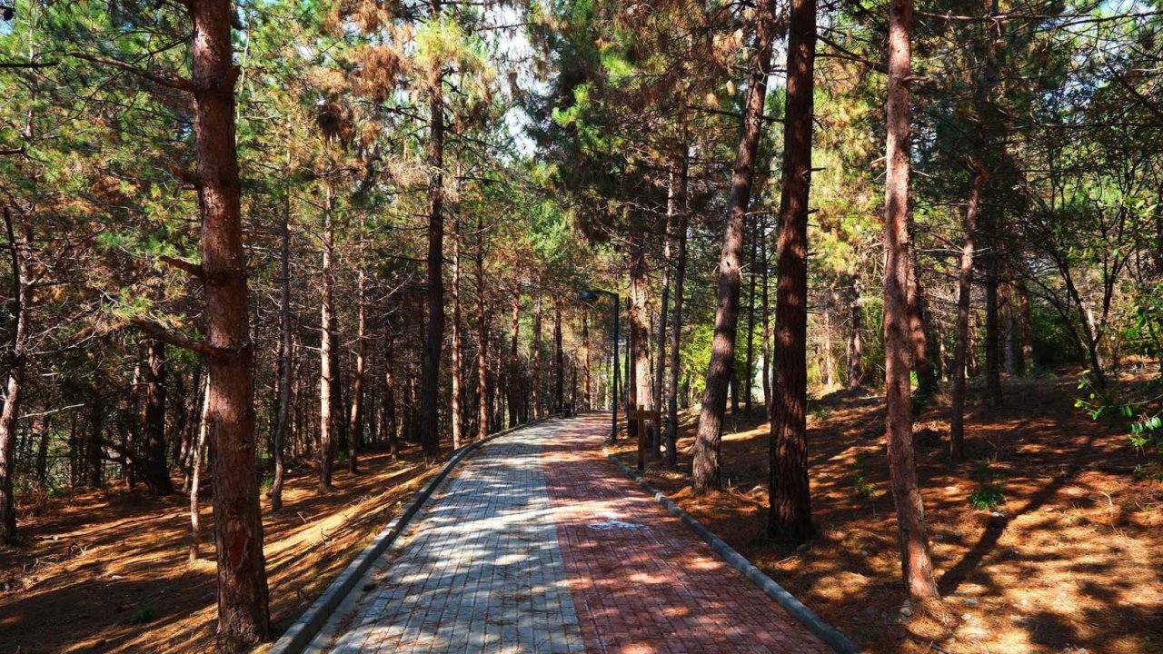 Sakaryalılar baharı ‘Huzur Koridoru’nda koşarak karşılayacak