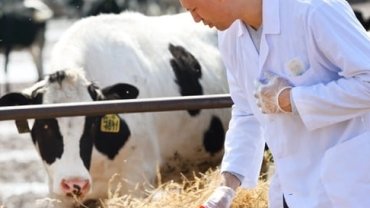 Tarımsal en yüksek girdi veteriner harcamaları zirvedeki yerini koruyor